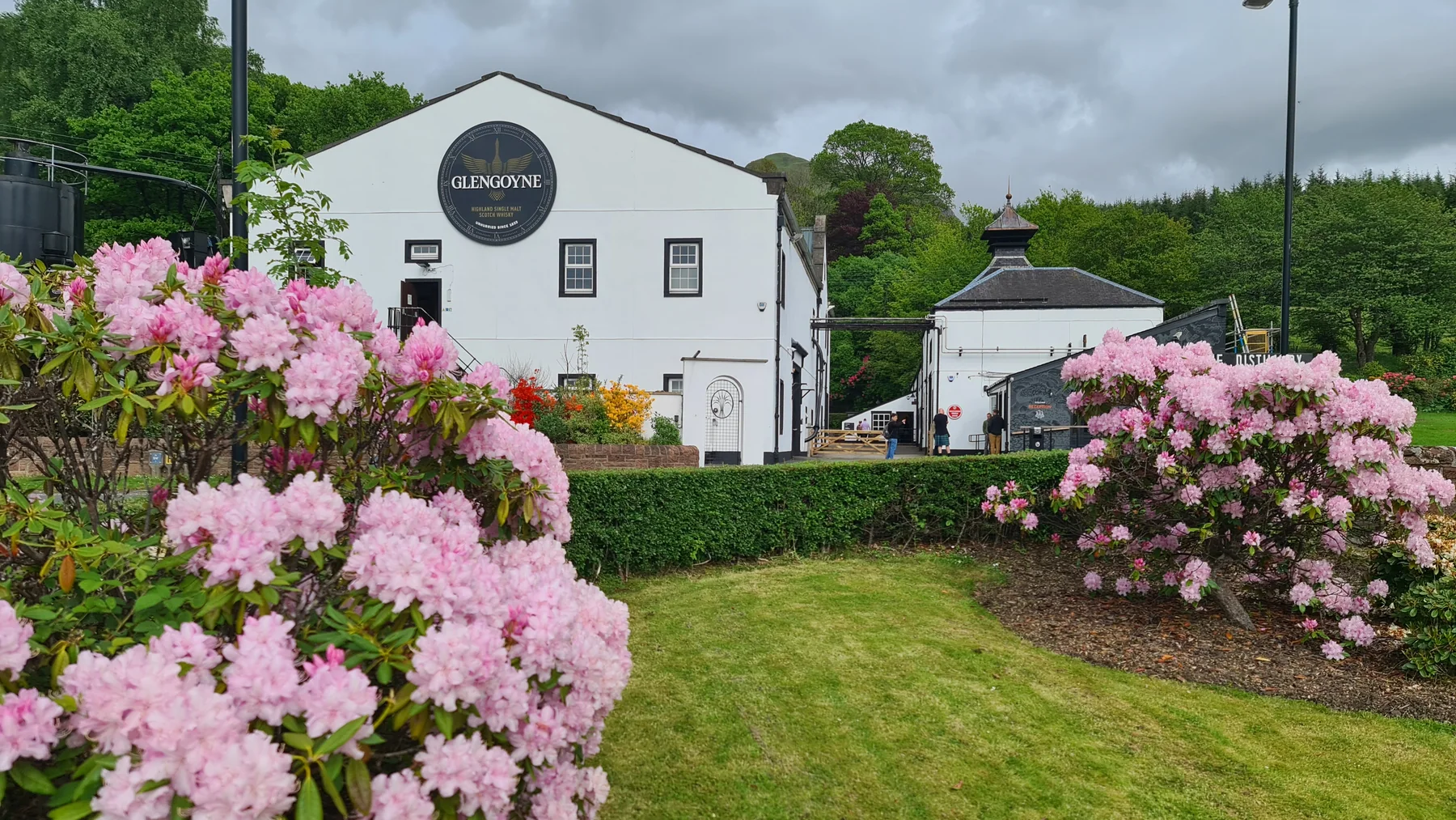 View at Glengoyne Distillery